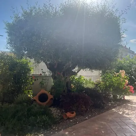 Solymar Apartamento